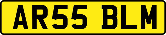 AR55BLM