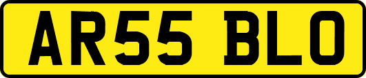 AR55BLO