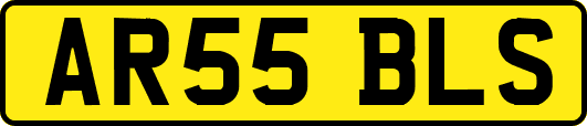 AR55BLS
