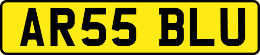 AR55BLU