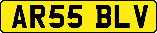 AR55BLV