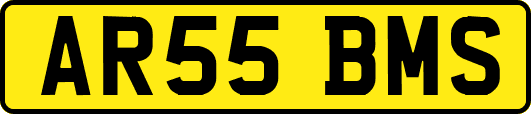 AR55BMS