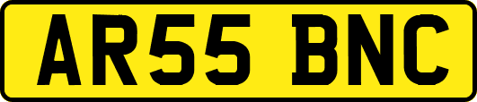 AR55BNC