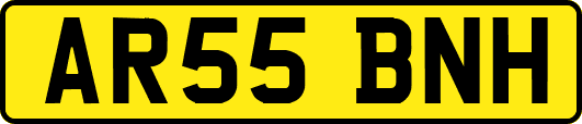 AR55BNH