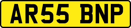 AR55BNP