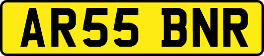 AR55BNR
