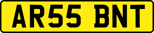 AR55BNT