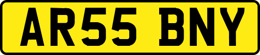 AR55BNY