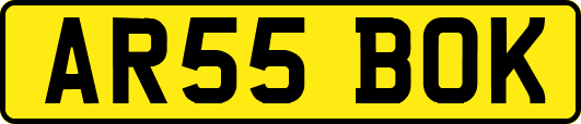 AR55BOK