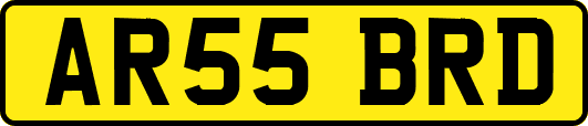 AR55BRD