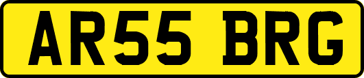 AR55BRG
