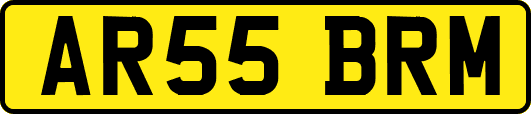 AR55BRM