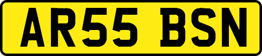 AR55BSN