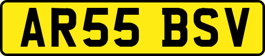 AR55BSV
