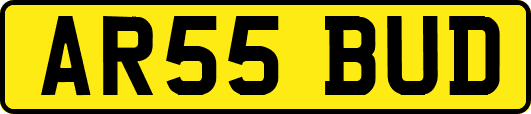 AR55BUD