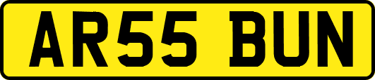 AR55BUN