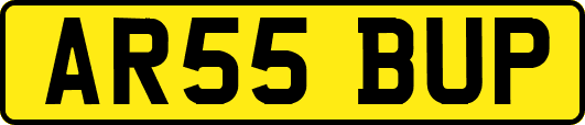 AR55BUP