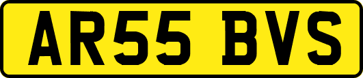 AR55BVS