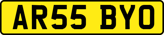 AR55BYO