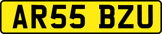 AR55BZU