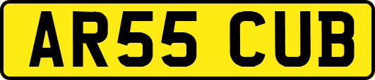 AR55CUB