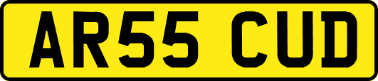 AR55CUD