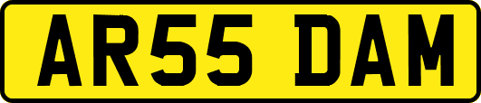 AR55DAM