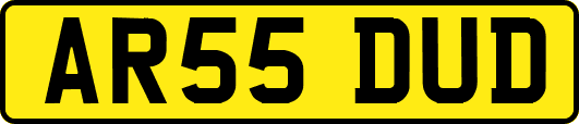 AR55DUD