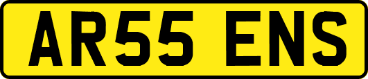 AR55ENS