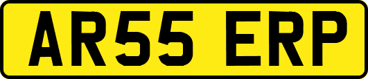 AR55ERP