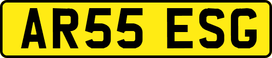 AR55ESG