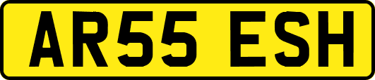 AR55ESH