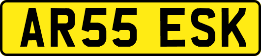AR55ESK