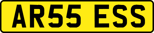 AR55ESS
