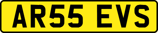 AR55EVS