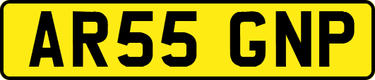 AR55GNP