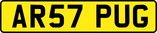 AR57PUG