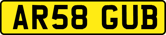 AR58GUB