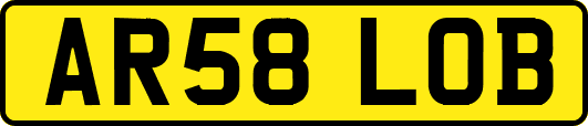 AR58LOB