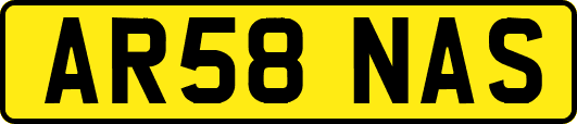 AR58NAS