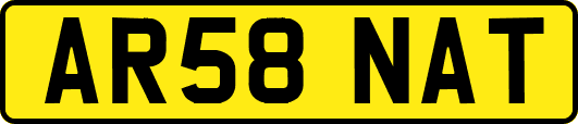 AR58NAT