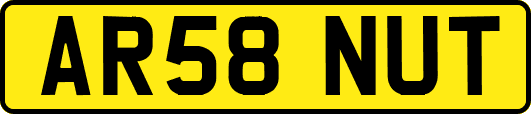 AR58NUT