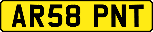 AR58PNT