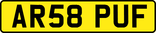 AR58PUF