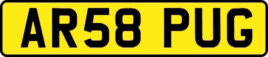 AR58PUG