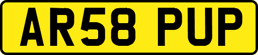 AR58PUP