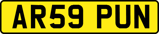 AR59PUN