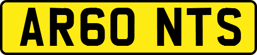 AR60NTS