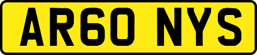 AR60NYS