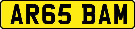 AR65BAM